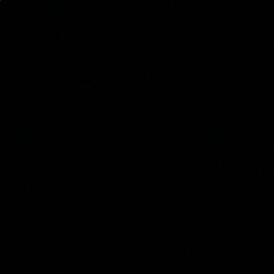 Meet your Posher, Sheltoria